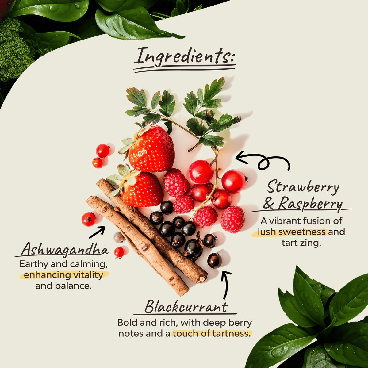 Organsia Very Berry with Ashwagandha Organic Tea 32g (18 bags)