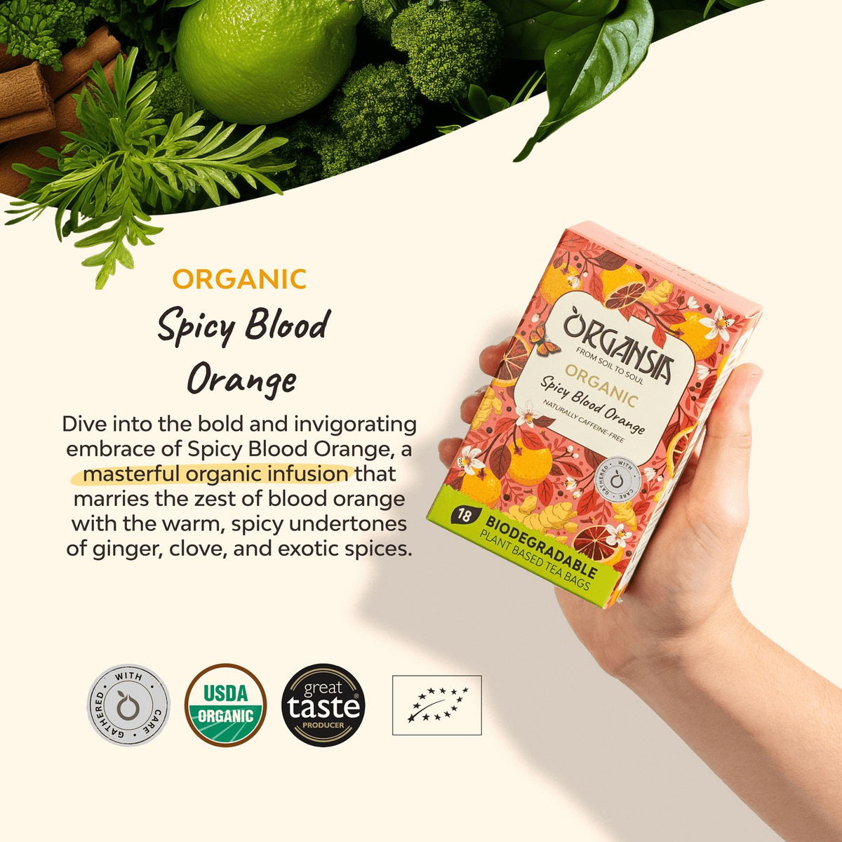 Organsia Spicy Blood Orange Organic Tea 32g (18 bags)