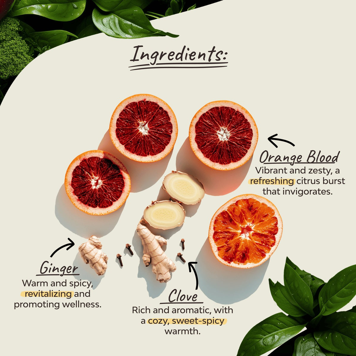 Organsia Spicy Blood Orange Organic Tea 32g (18 bags)
