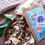 Cupster instant forest mushroom soup 10 pack (10x22g)
