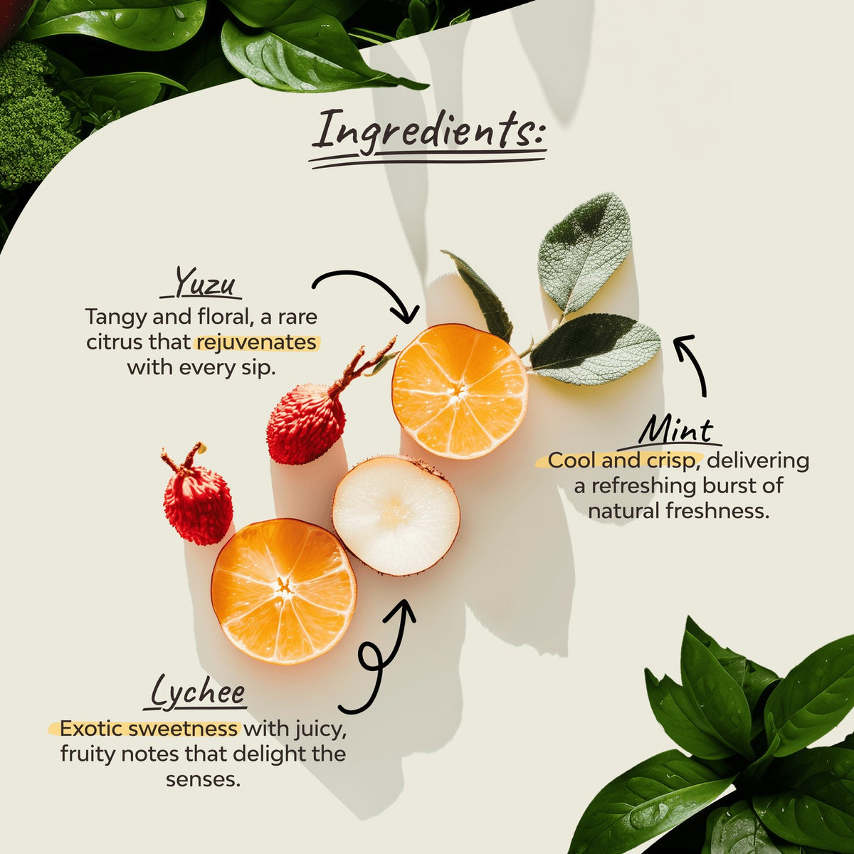 Organsia Yuzu, Lychee & Mint Organic Tea (18 bags)
