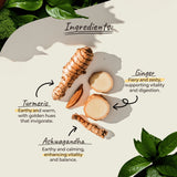 Organsia Three Roots Organic Tea 27g (18 bags)