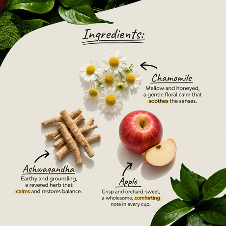 Organsia Bedtime Apple with Elderflower Organic Tea 27g (18 bags)