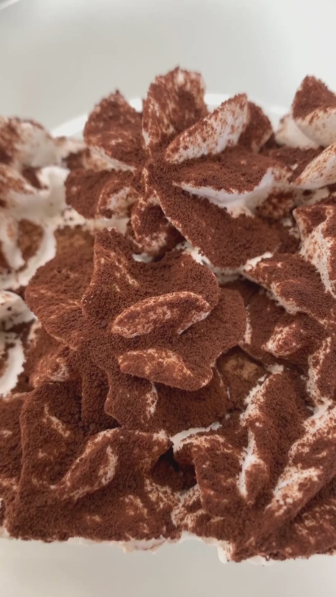 Bake-Free Sponge Cake - Muffin - Cupcake flour mixture 900g